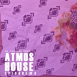 ATMOS house 3.jpg